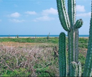 Paisaje Guajiro - Cerca al Cabo de La Vela. Fuente: Panoramio.com  Por: Edison Colina