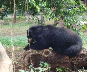 Santa Cruz Zoo Source: wikimedia.org by Fisioune