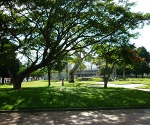 Olaya Herrera Park.  Source: Panoramio.com By ORLANDO/ 42 